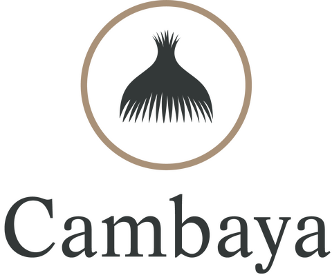 Cambaya Holdings Logo Cambaya Holdings Logo