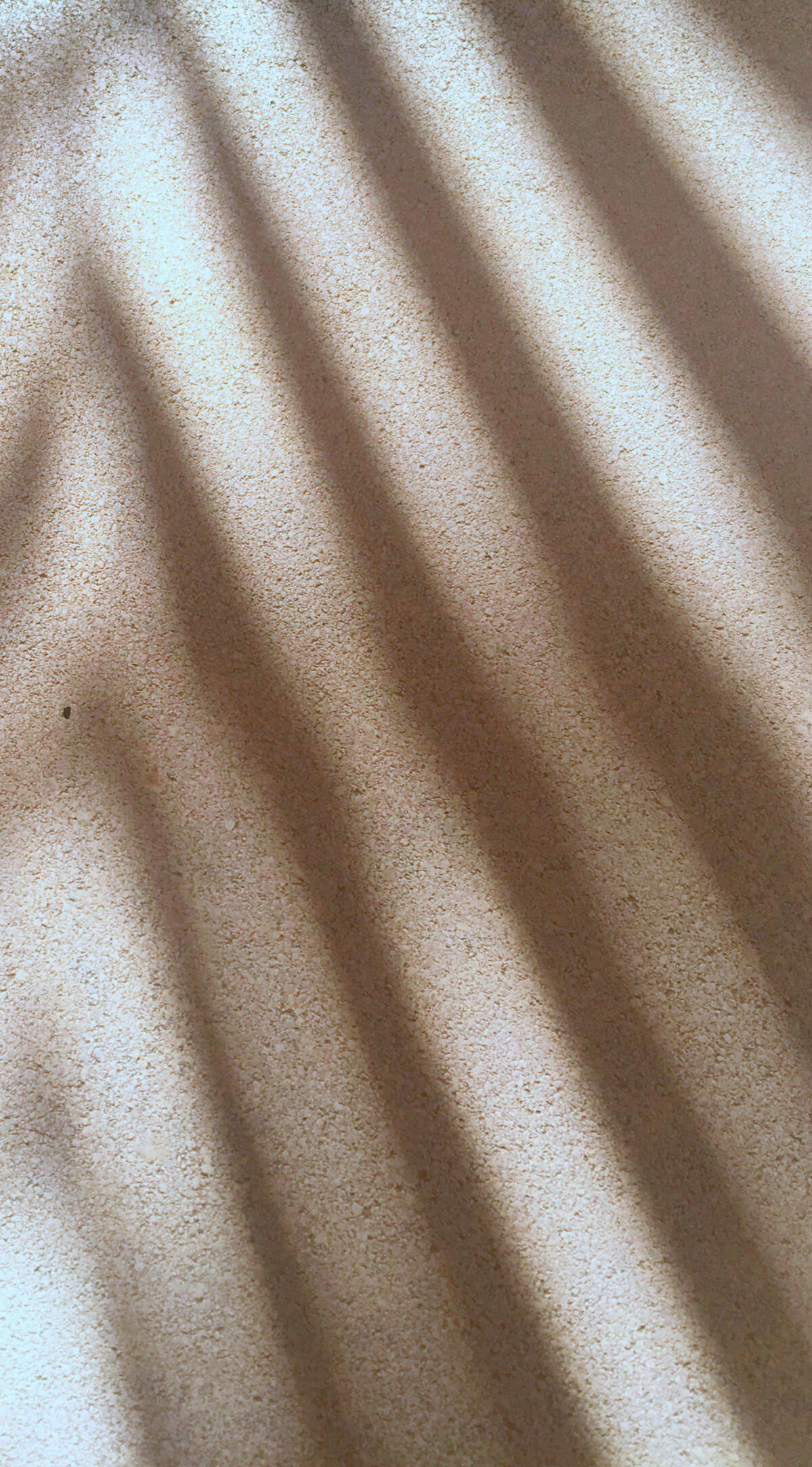 Guest Policy Summary