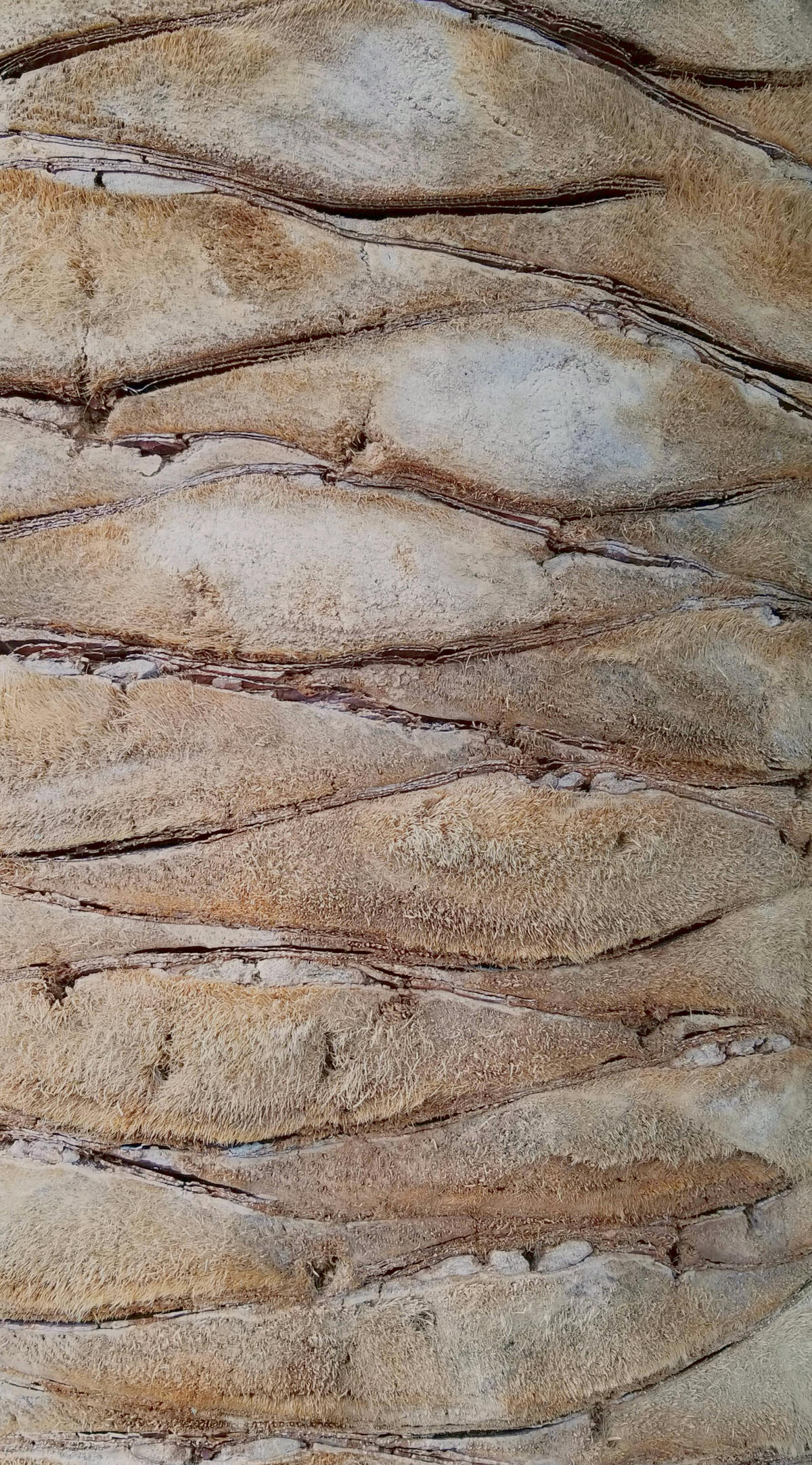 Booking and Liability Agreement Booking and Liability Agreement